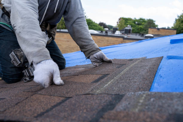 Best Storm Damage Roof Repair  in Marina Del Rey, CA
