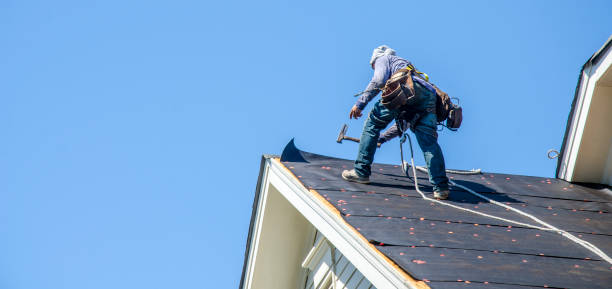 Roof Gutter Cleaning in Marina Del Rey, CA